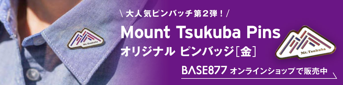 Mount Tsukuba Pins Gold 【筑波山 金のピンバッジ】
