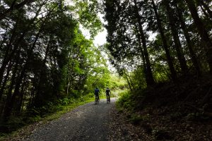 東筑波ハイキングコースは、マウンテンバイクの乗り入れも可能