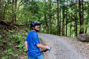 東筑波ハイキングコース登山道