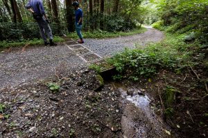 東筑波ハイキングコースにはあちこちに沢がある