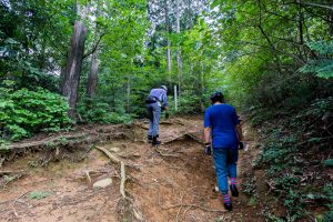 東筑波ハイキングコース登山道