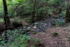 東筑波ハイキングコース登山道。沢が見える