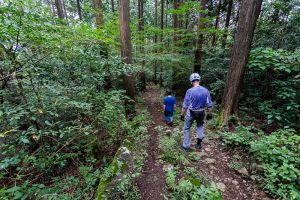 東筑波ハイキングコース登山道