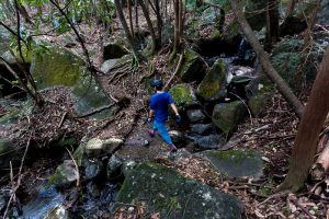 東筑波ハイキングコース登山道で沢を渡る
