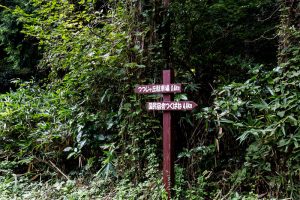 東筑波ハイキングコース登山道にある案内板