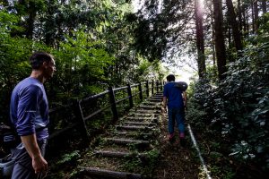 東筑波ハイキングコース登山道