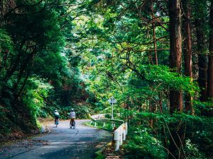 サイクリストの間では有名な名所・不動峠