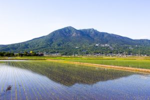 田植えの時期の筑波山の風景（逆さ筑波）