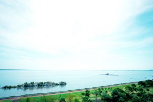 日本で2番目に大きな湖、霞ヶ浦