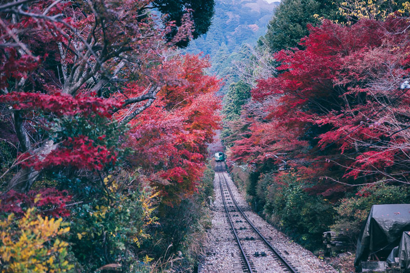 紅葉シーズンの筑波山ケーブルカー